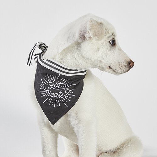 Pet Bandana - Eat Bark Repeat