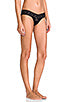 Hanky Panky Lace Low Rise Thong- Various Colors
