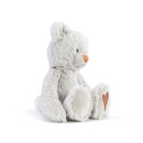 November Birthstone Bear