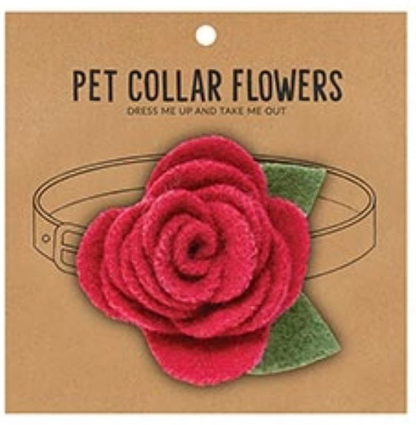 Pet Collar Flower-Orchid or Rasberry