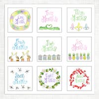 Southern Baby Milestone Cards